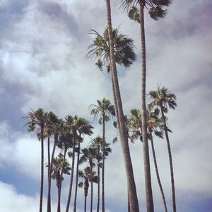 Meet your Posher, Lily